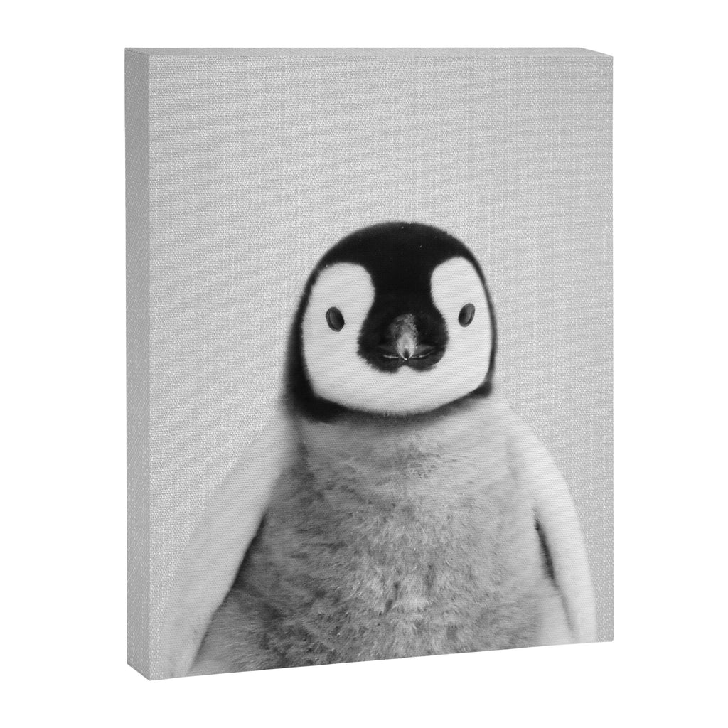 Baby Penguin - Black & White Canvas Print Gallery Image 8