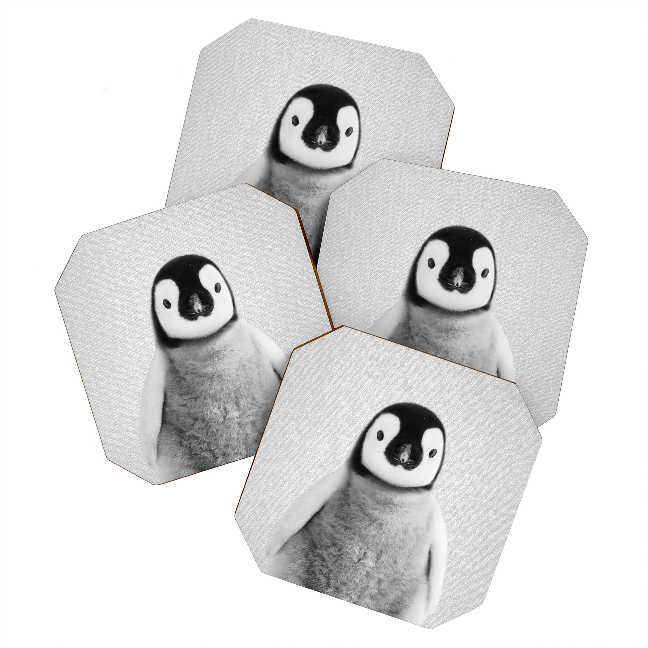 Baby Penguin - Black & White Coaster Gallery Image 1