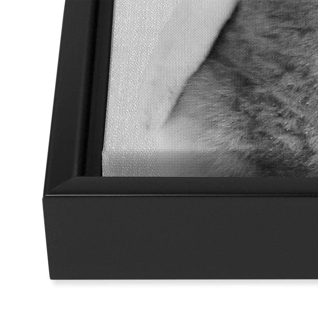 Baby Penguin - Black & White Framed Canvas Print Gallery Image 3