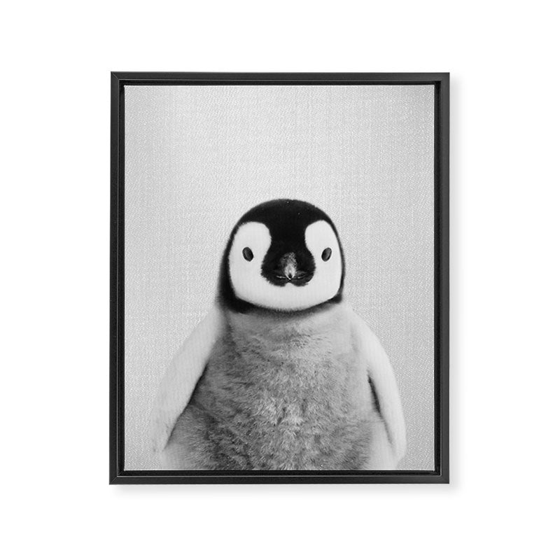 Baby Penguin - Black & White Framed Canvas Print Gallery Image 8