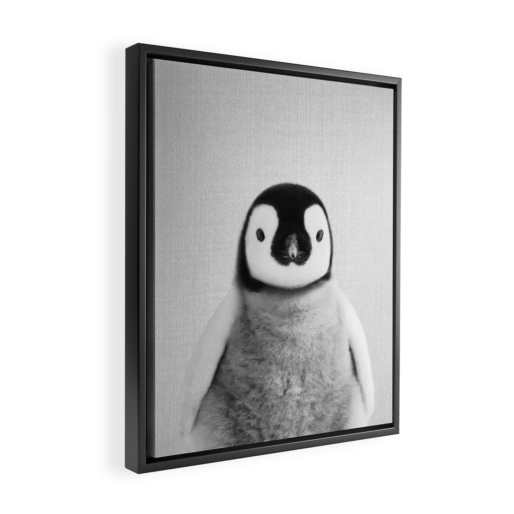 Baby Penguin - Black & White Framed Canvas Print Gallery Image 2