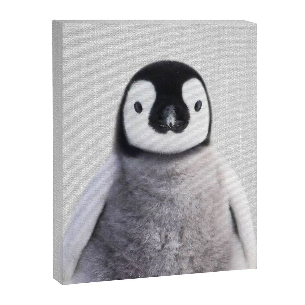 Baby Penguin - Colorful Canvas Print Gallery Image 8