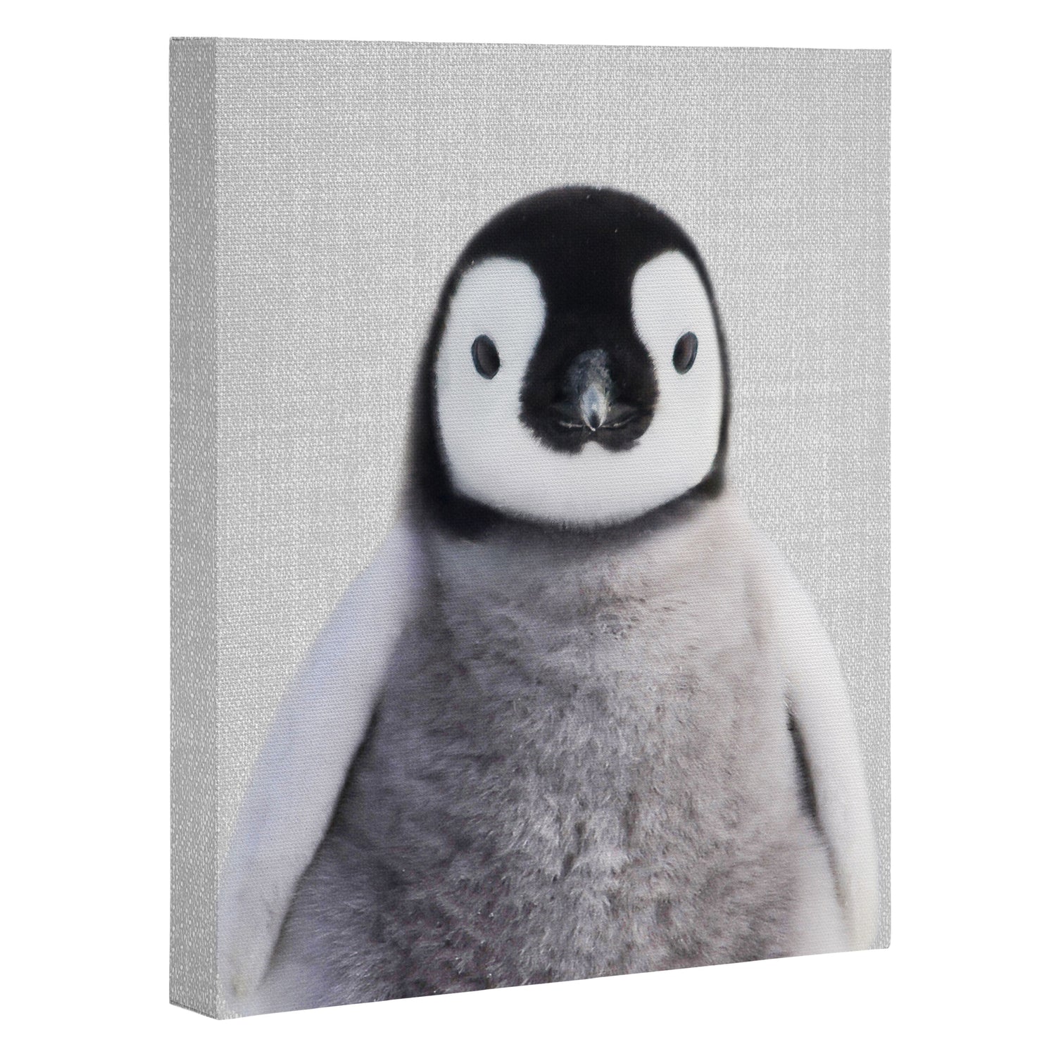 Baby Penguin - Colorful Canvas Print Gallery Image 3