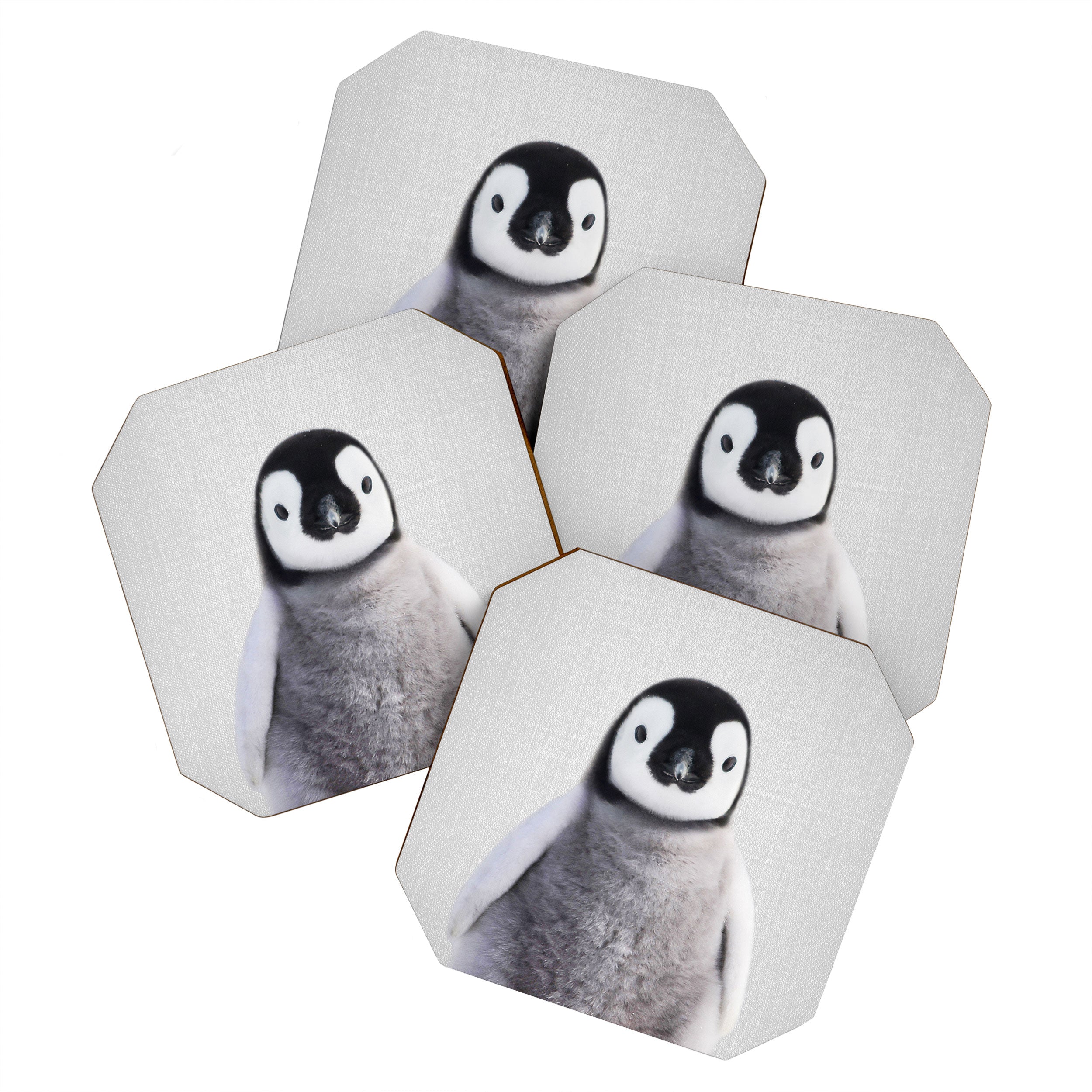 Baby Penguin - Colorful Coaster Gallery Image 1