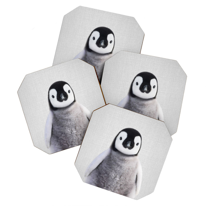 Baby Penguin - Colorful Coaster Gallery Image 1