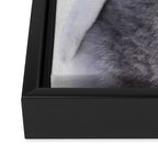 Baby Penguin - Colorful Framed Canvas Print Gallery Image 3