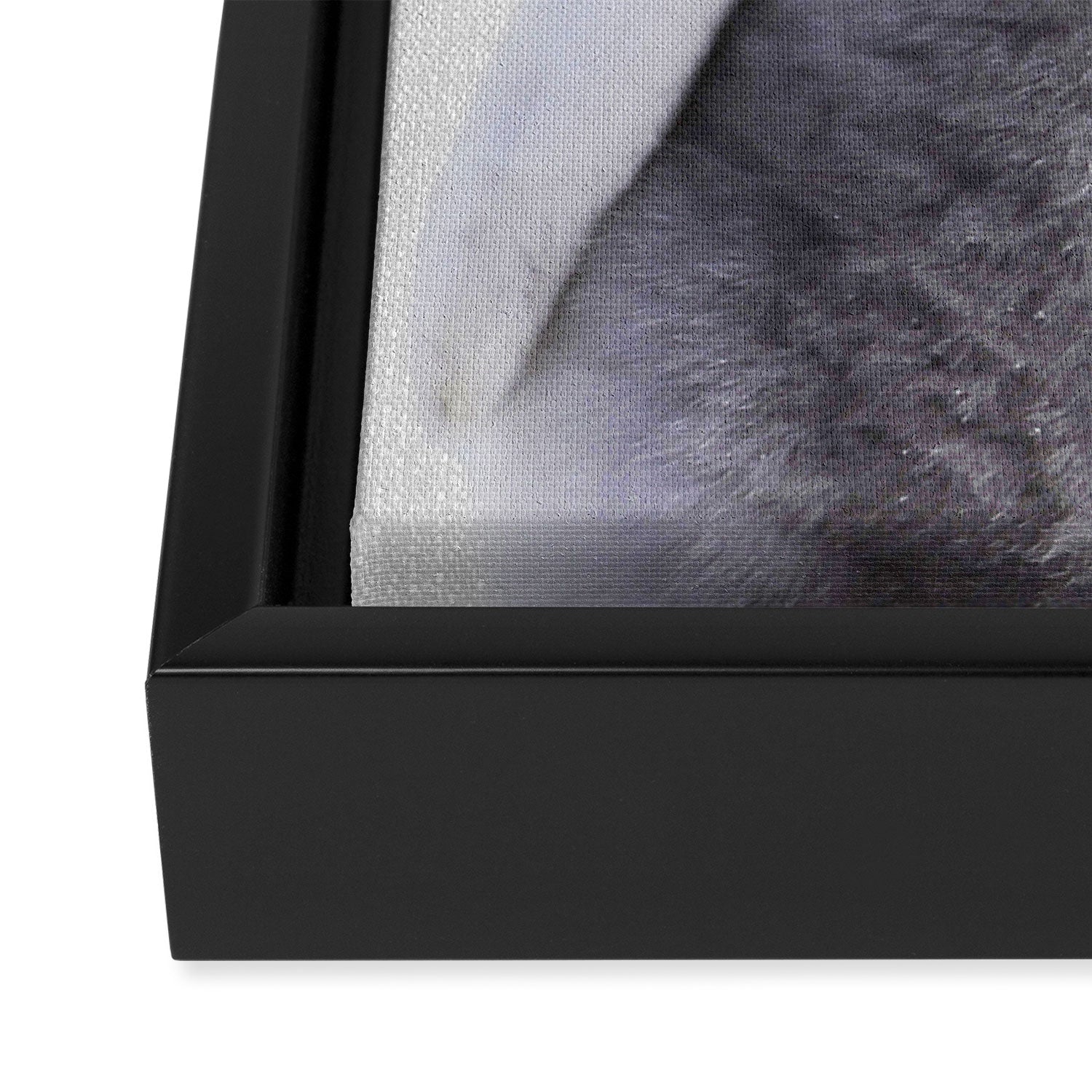 Baby Penguin - Colorful Framed Canvas Print Gallery Image 3