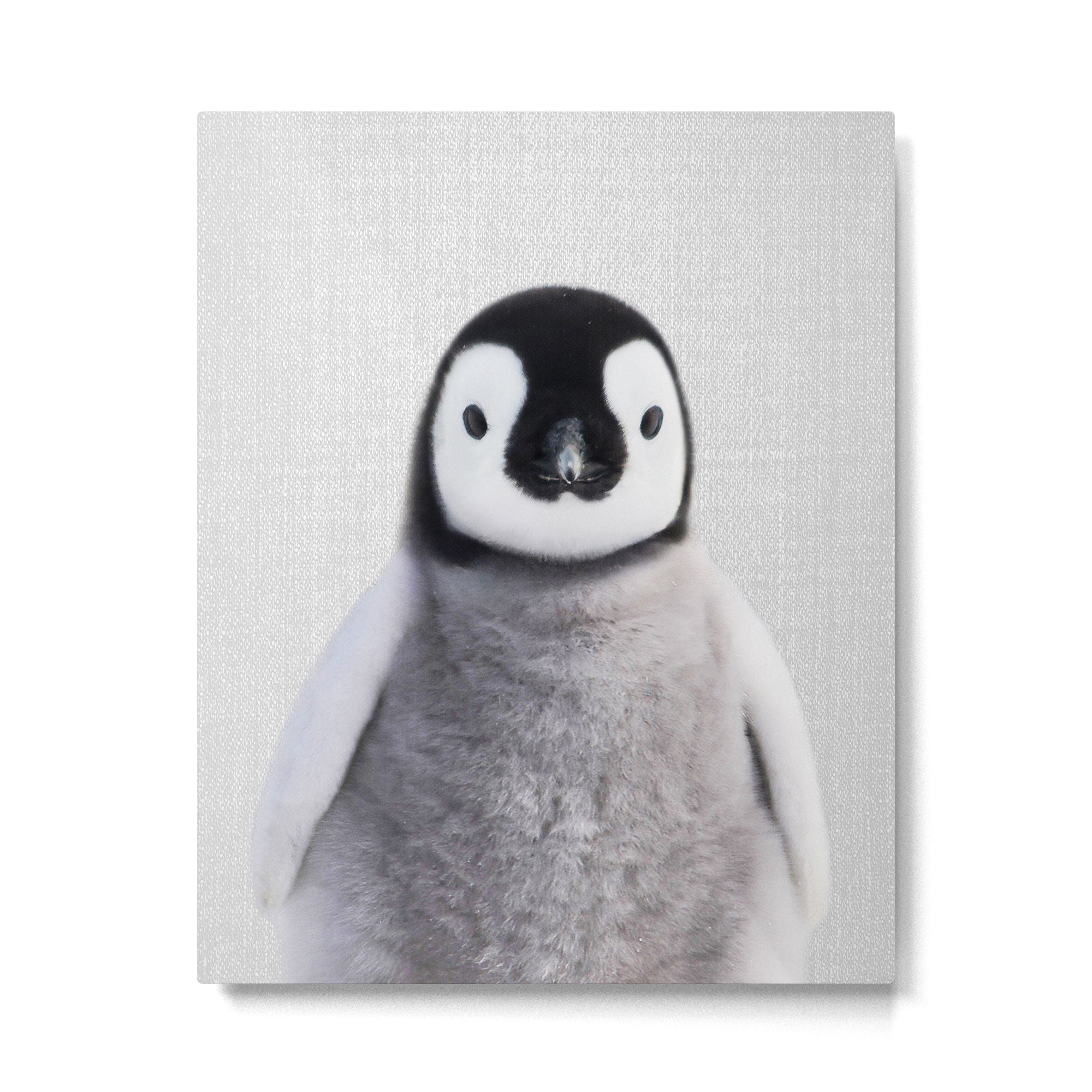 Baby Penguin - Colorful Metal Print Gallery Image 6