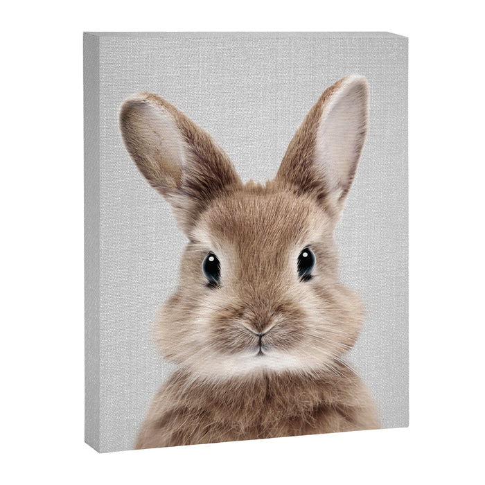 Baby Rabbit - Colorful Canvas Print Gallery Image 1
