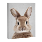 Baby Rabbit - Colorful Canvas Print Gallery Image 8