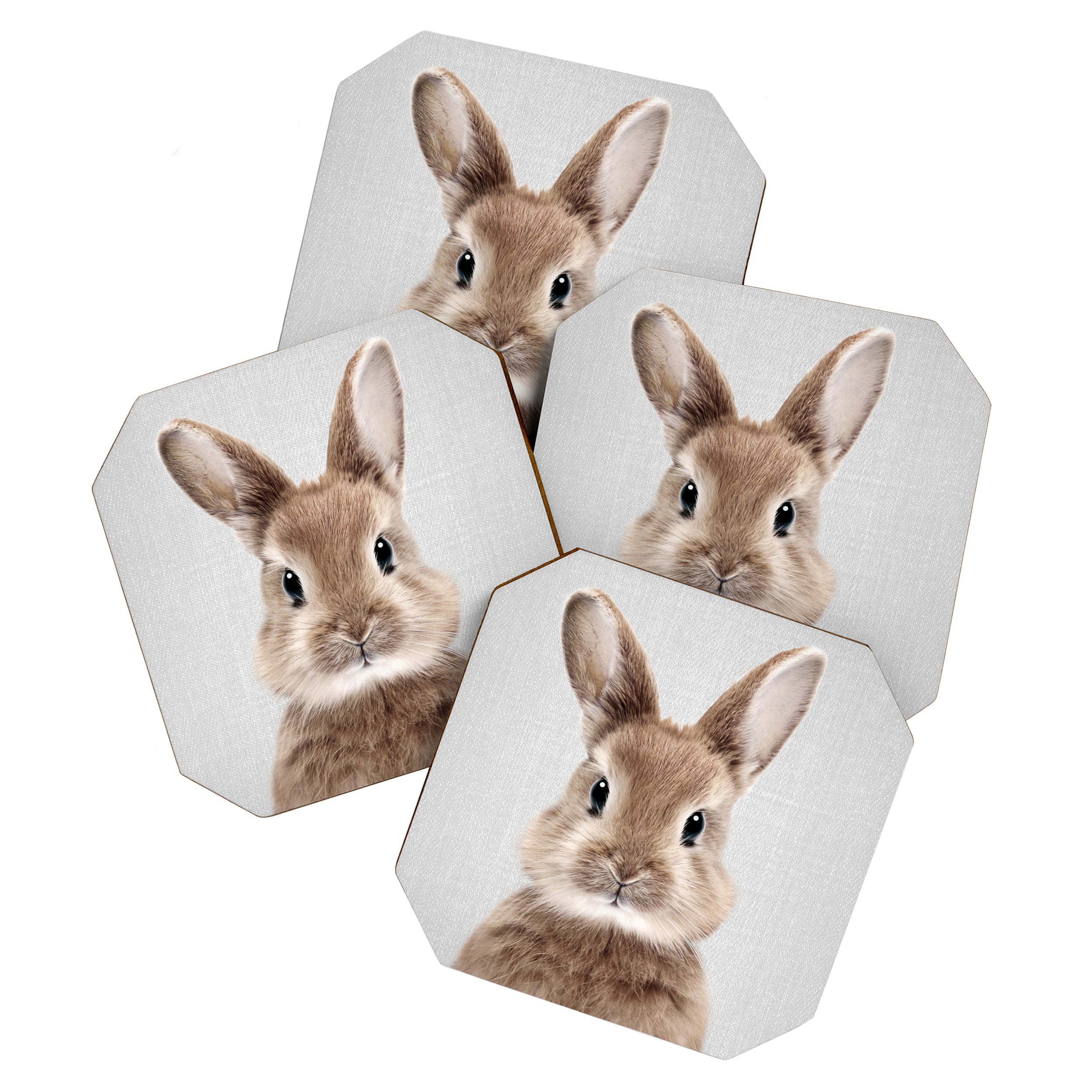 Baby Rabbit - Colorful Coaster Gallery Image 1