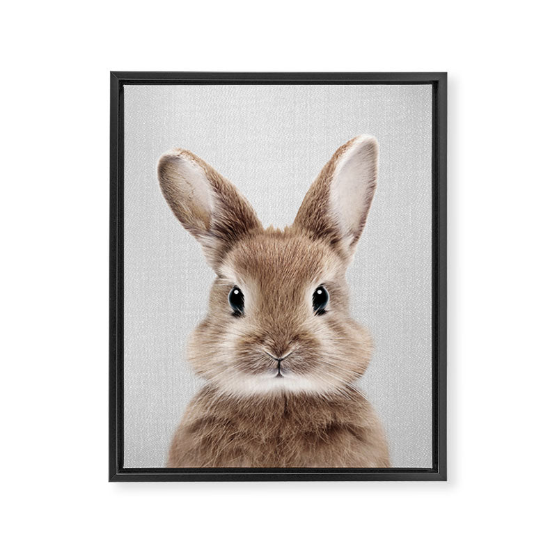 Baby Rabbit - Colorful Framed Canvas Print Gallery Image 8