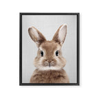 Baby Rabbit - Colorful Framed Canvas Print Gallery Image 8
