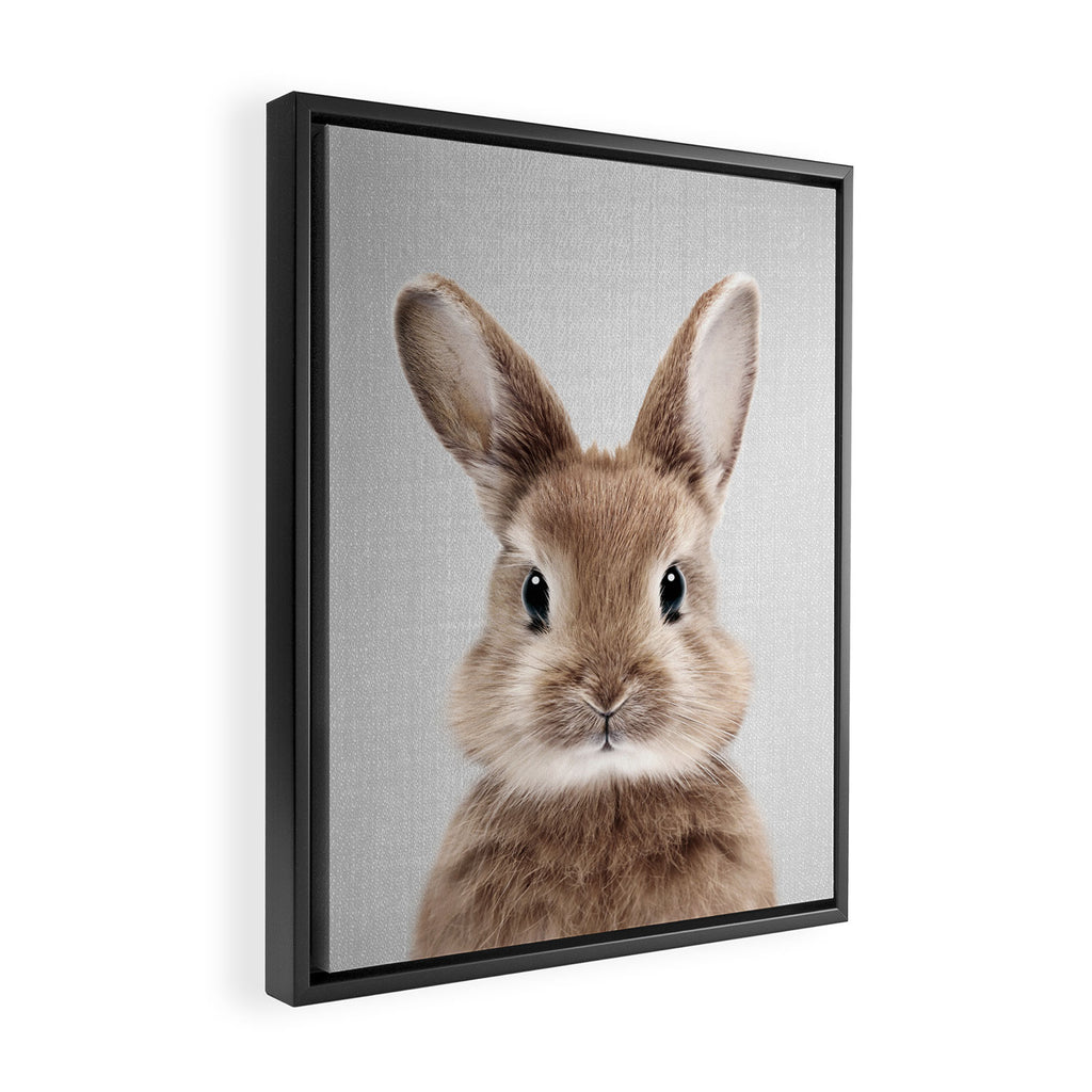 Baby Rabbit - Colorful Framed Canvas Print Gallery Image 2