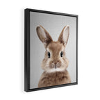 Baby Rabbit - Colorful Framed Canvas Print Gallery Image 2