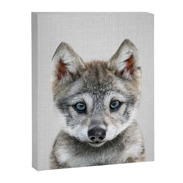 Baby Wolf - Colorful Canvas Print Gallery Image 1