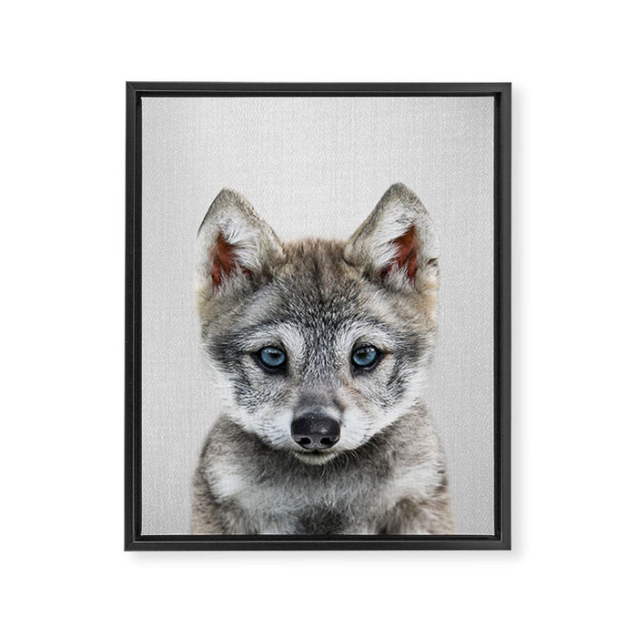 Baby Wolf - Colorful Framed Canvas Print Gallery Image 1