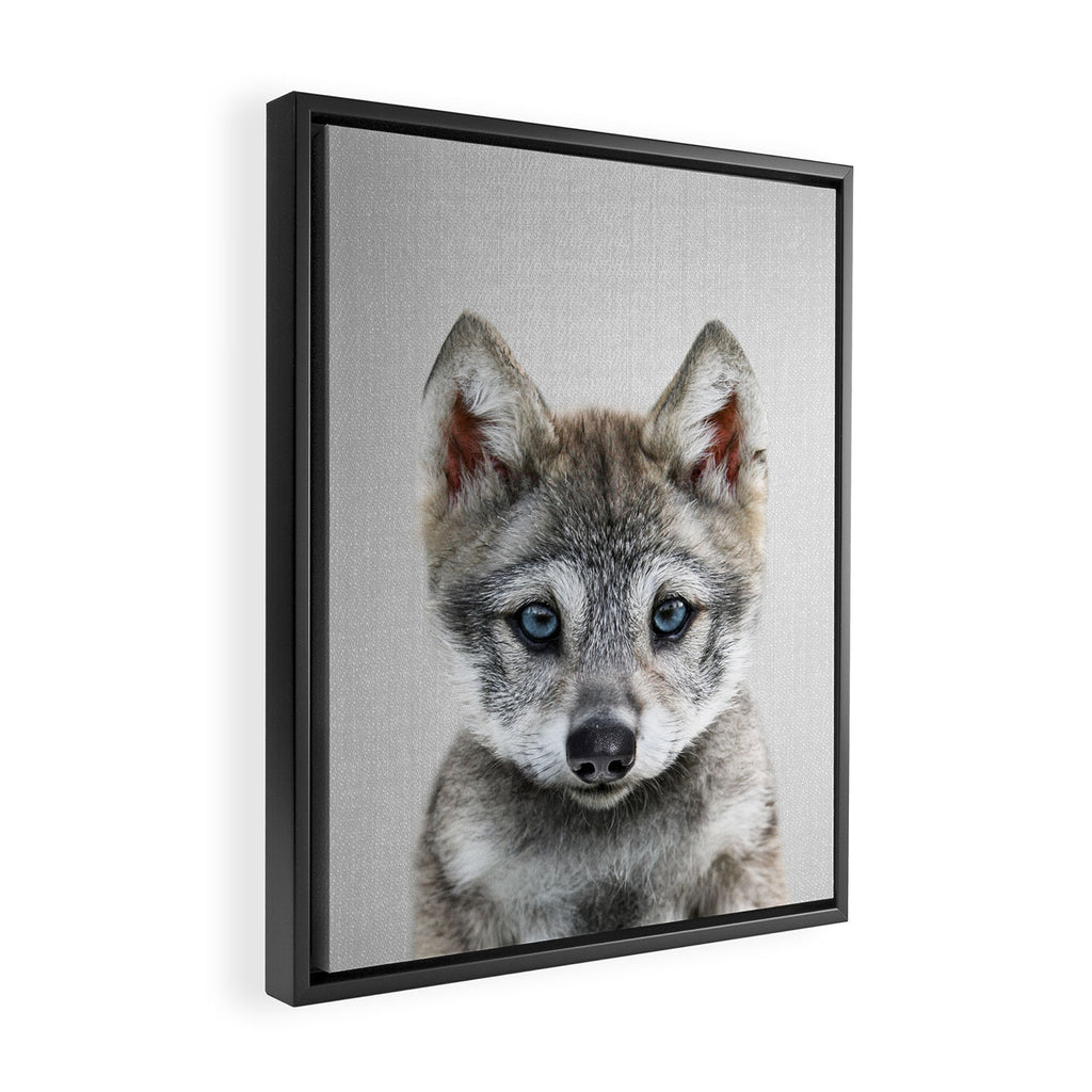 Baby Wolf - Colorful Framed Canvas Print Gallery Image 2