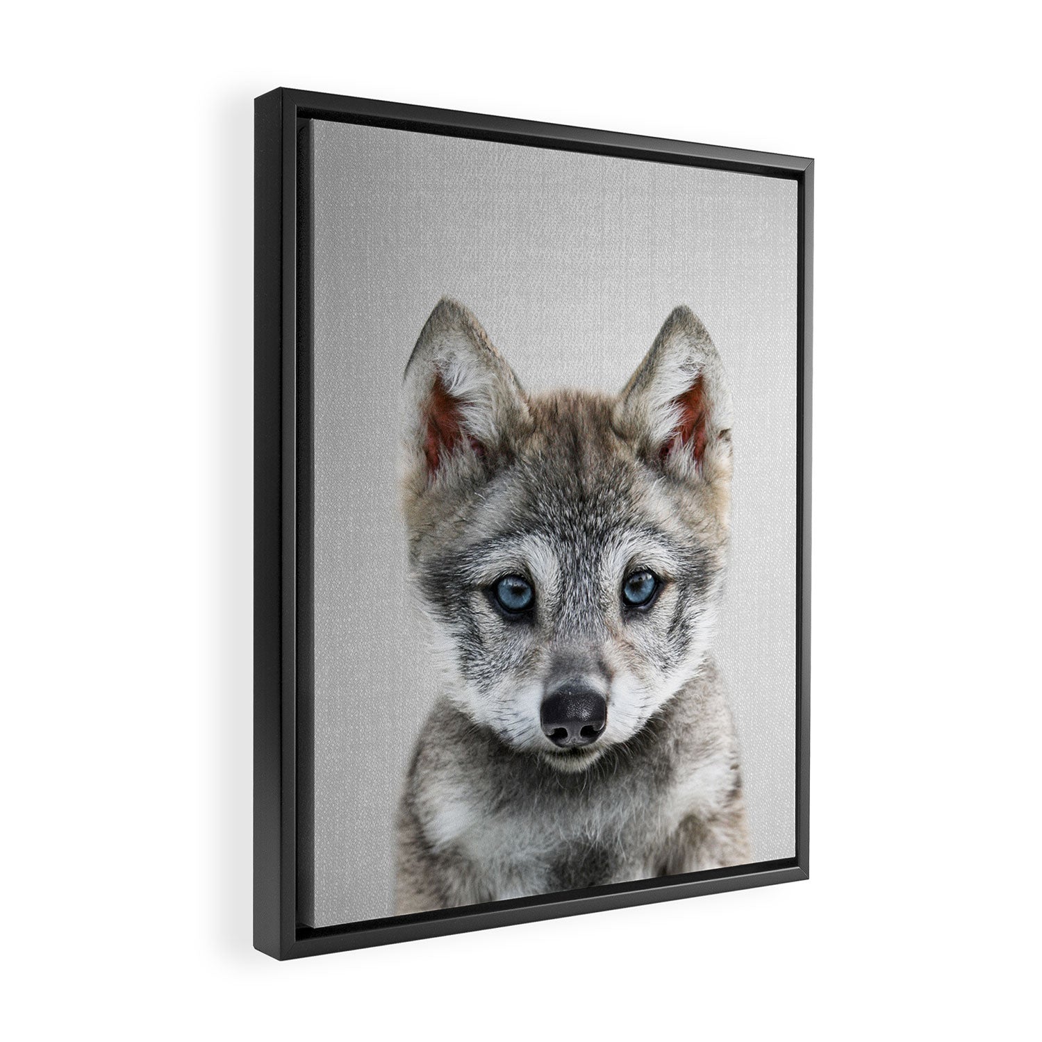 Baby Wolf - Colorful Framed Canvas Print Gallery Image 2
