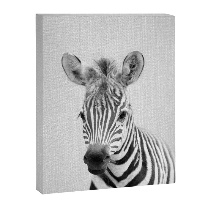 Baby Zebra - Black & White Canvas Print Gallery Image 1