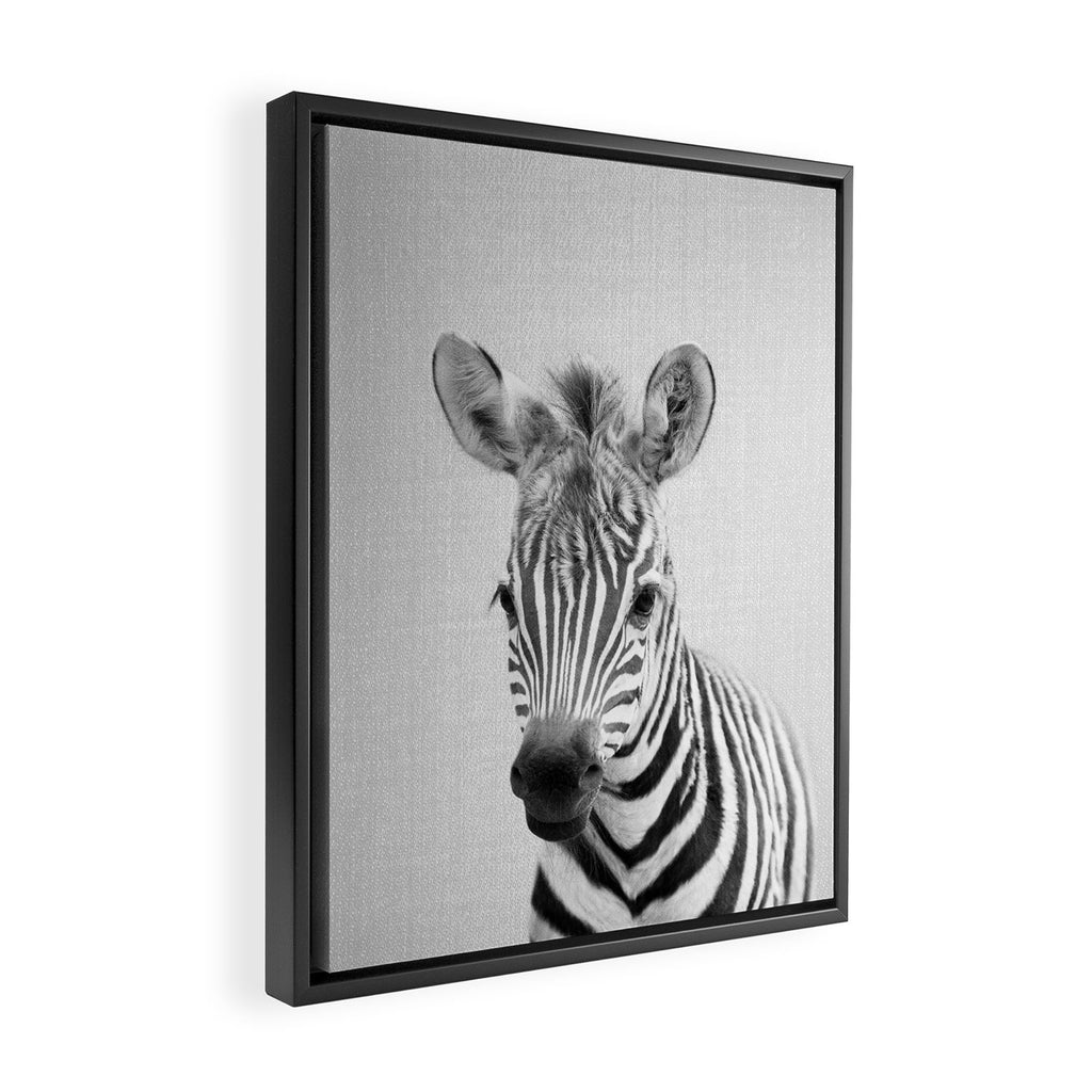 Baby Zebra - Black & White Framed Canvas Print Gallery Image 2