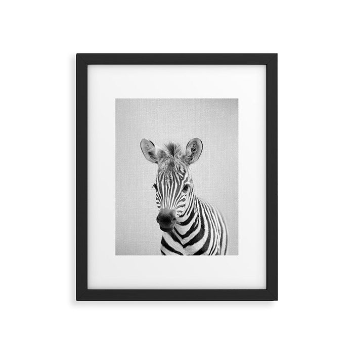 Baby Zebra - Black & White Framed Art Print Gallery Image 1
