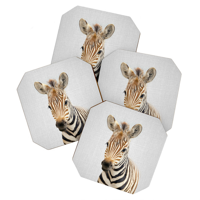 Baby Zebra - Colorful Coaster Gallery Image 1