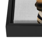 Baby Zebra - Colorful Framed Canvas Print Gallery Image 3