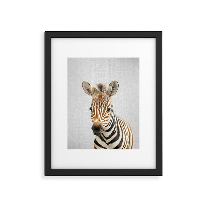 Baby Zebra - Colorful Framed Art Print Gallery Image 1