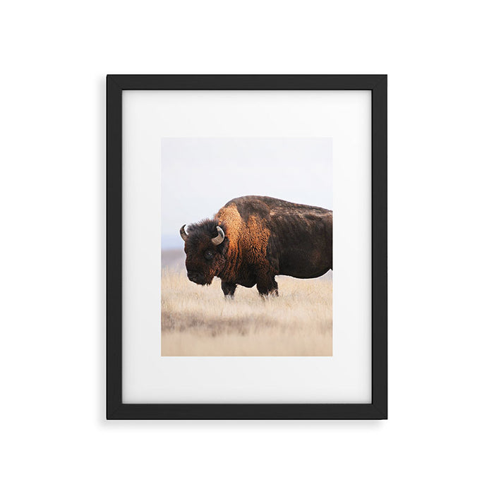 Bison Whisper Framed Art Print Gallery Image 1