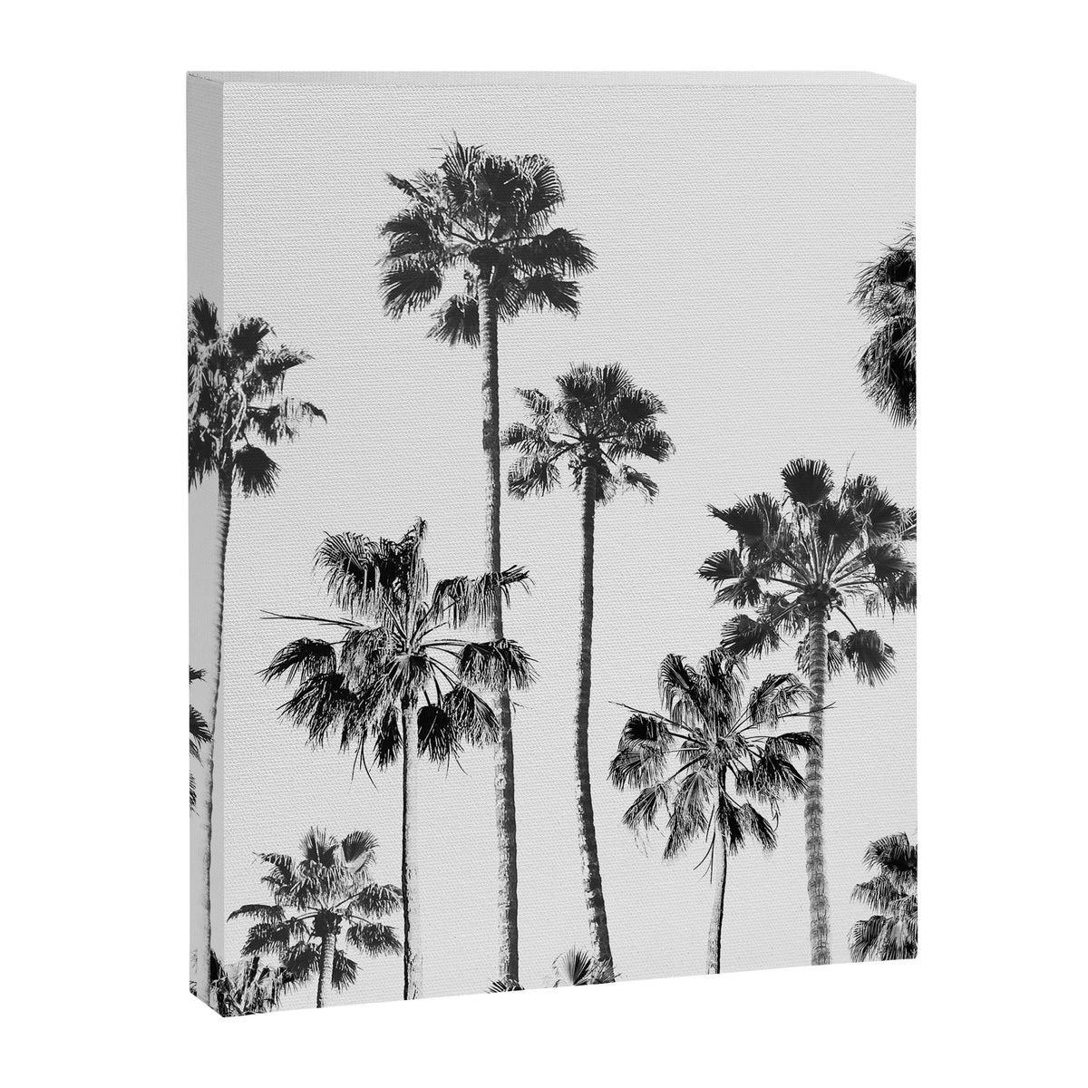 Black & White Palms 3 Canvas Print Gallery Image 6