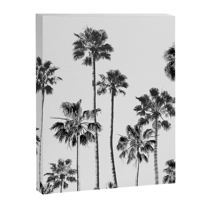 Black & White Palms 3 Canvas Print Gallery Image 1