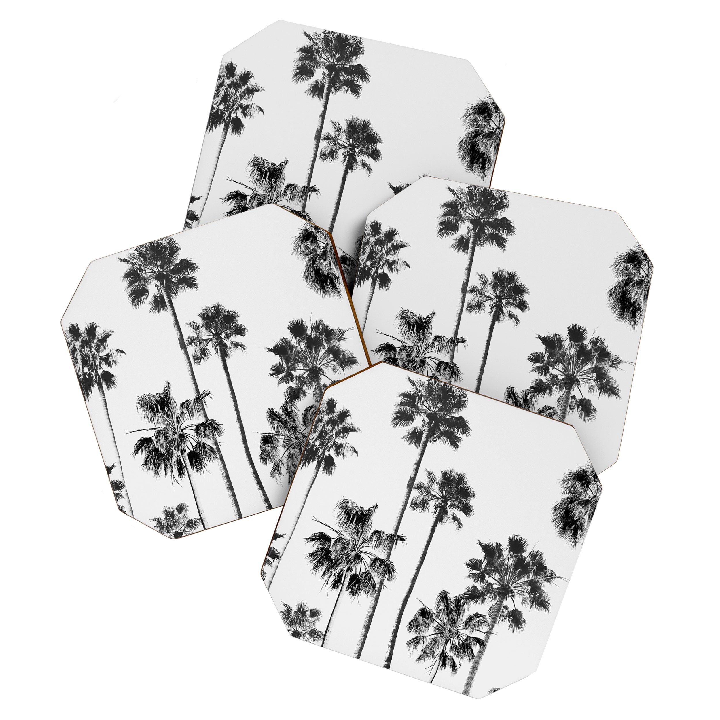 Black & White Palms 3 Coaster Gallery Image 1
