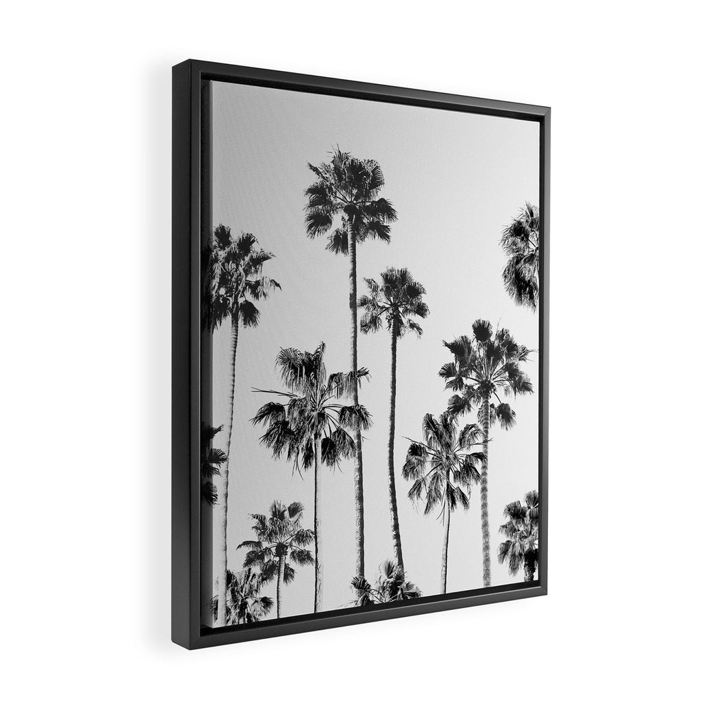 Black & White Palms 3 Framed Canvas Print Gallery Image 2