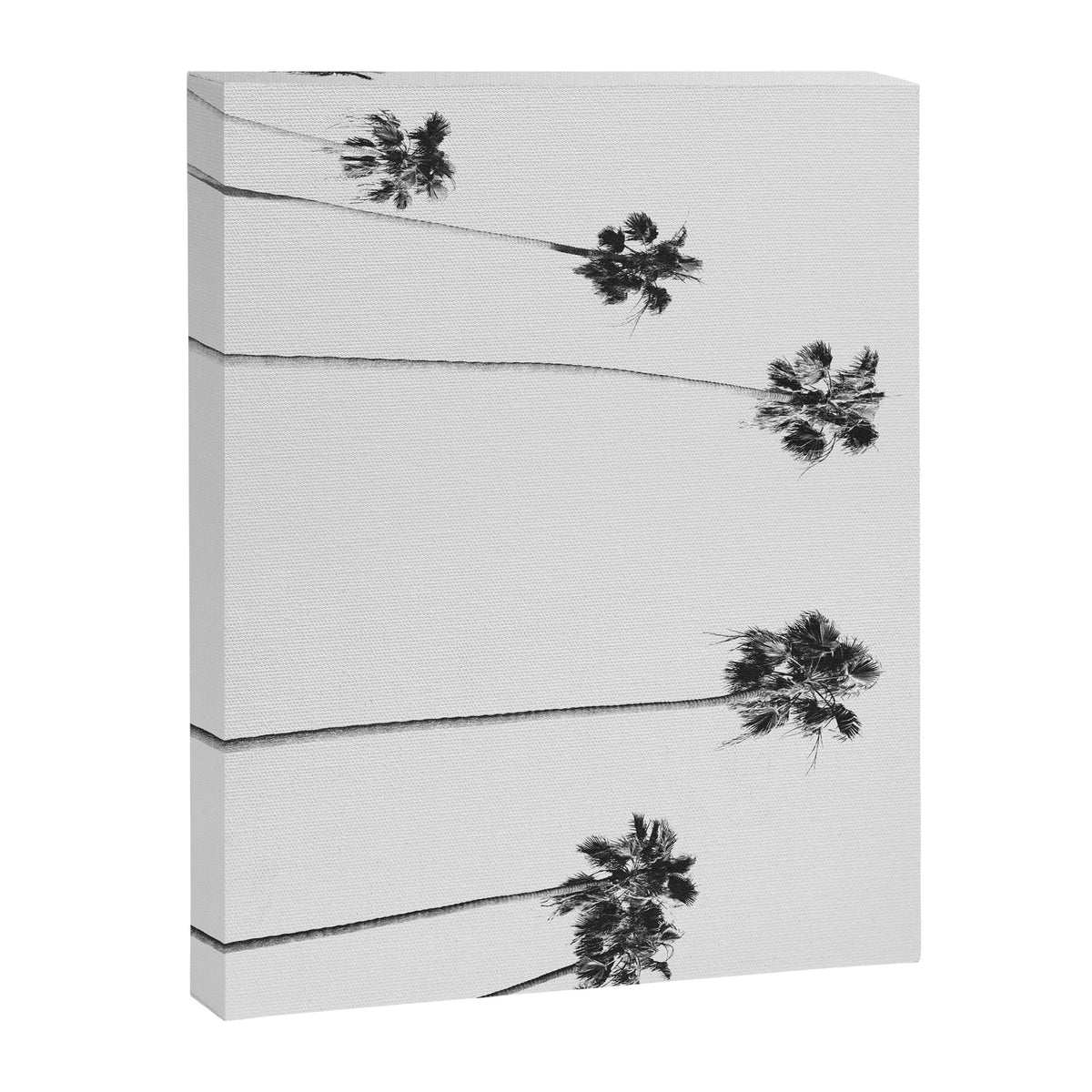 Black & White Palms Canvas Print Gallery Image 6