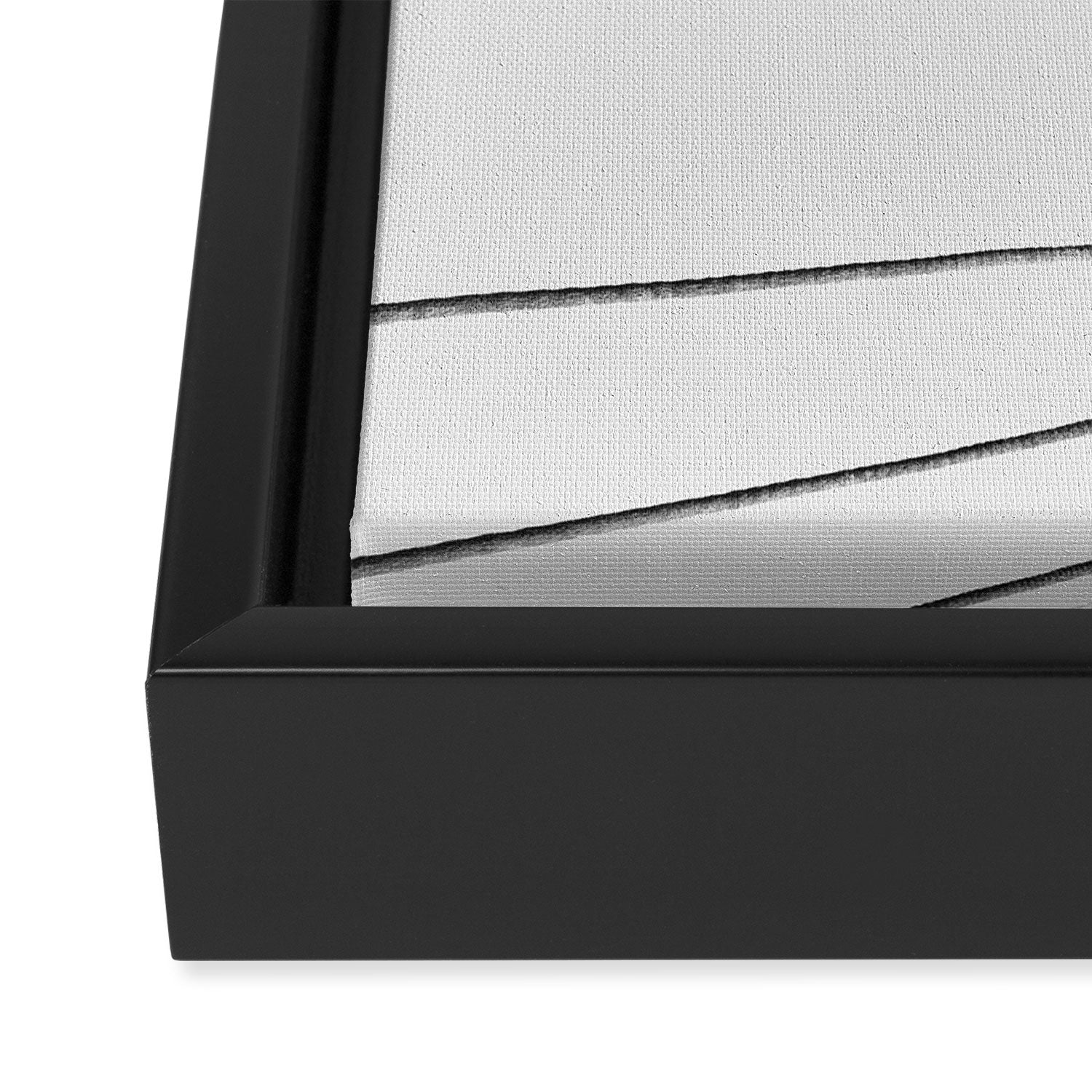 Black & White Palms Framed Canvas Print Gallery Image 3