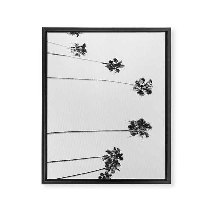 Black & White Palms Framed Canvas Print Gallery Image 1