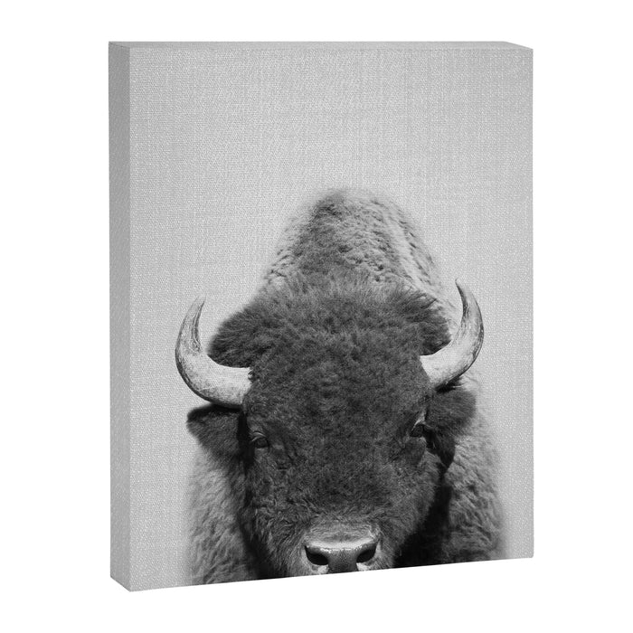 Buffalo - Black & White Canvas Print Gallery Image 1