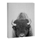 Buffalo - Black & White Canvas Print Gallery Image 8
