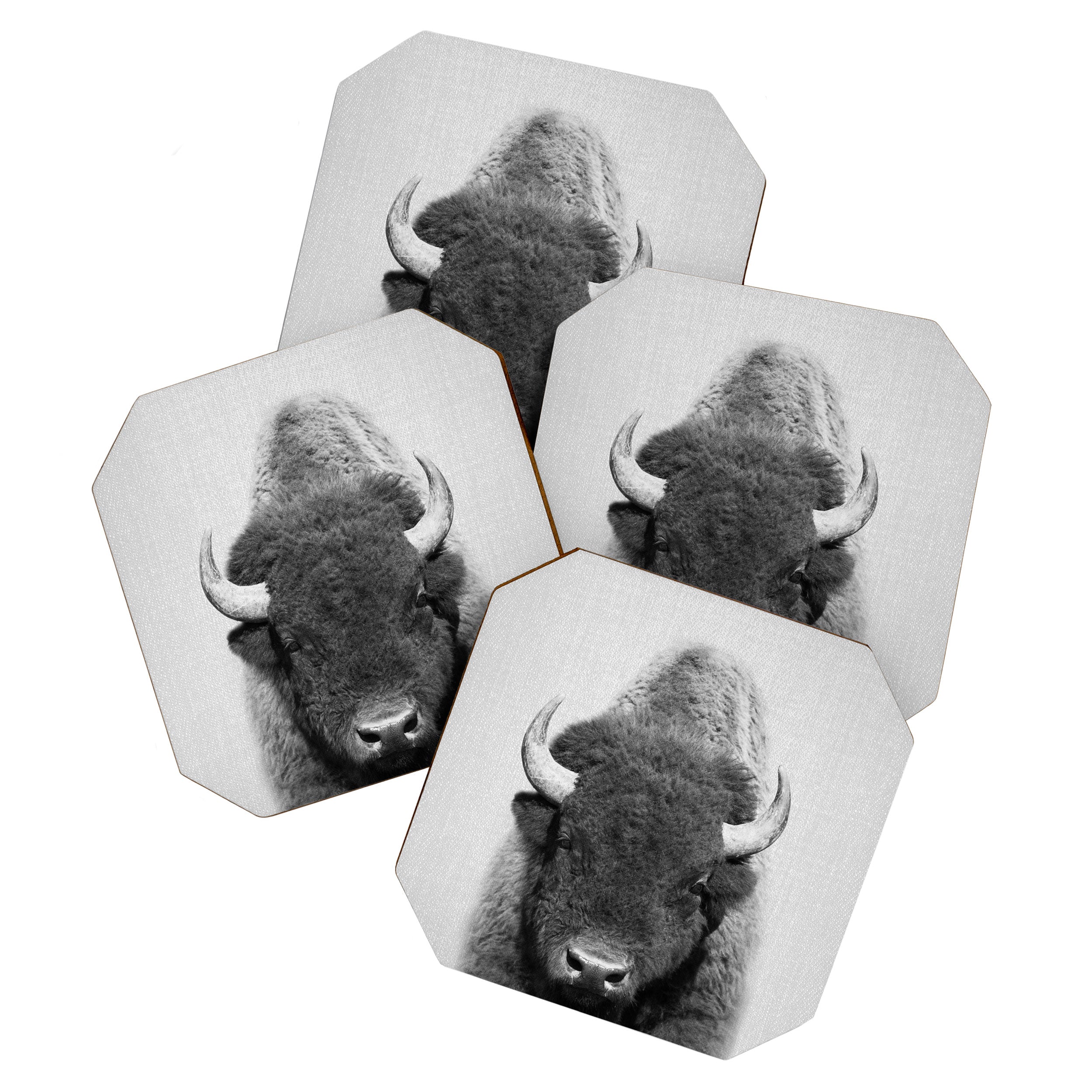 Buffalo - Black & White Coaster Gallery Image 1