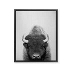 Buffalo - Black & White Framed Canvas Print Gallery Image 8