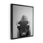 Buffalo - Black & White Framed Canvas Print Gallery Image 2