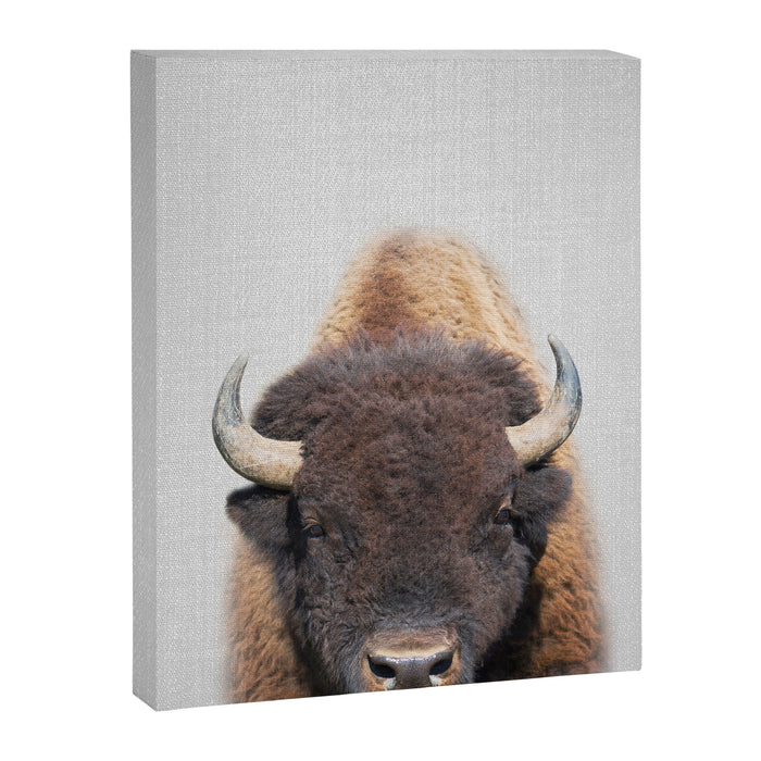 Buffalo - Colorful Canvas Print Gallery Image 1