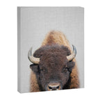 Buffalo - Colorful Canvas Print Gallery Image 8