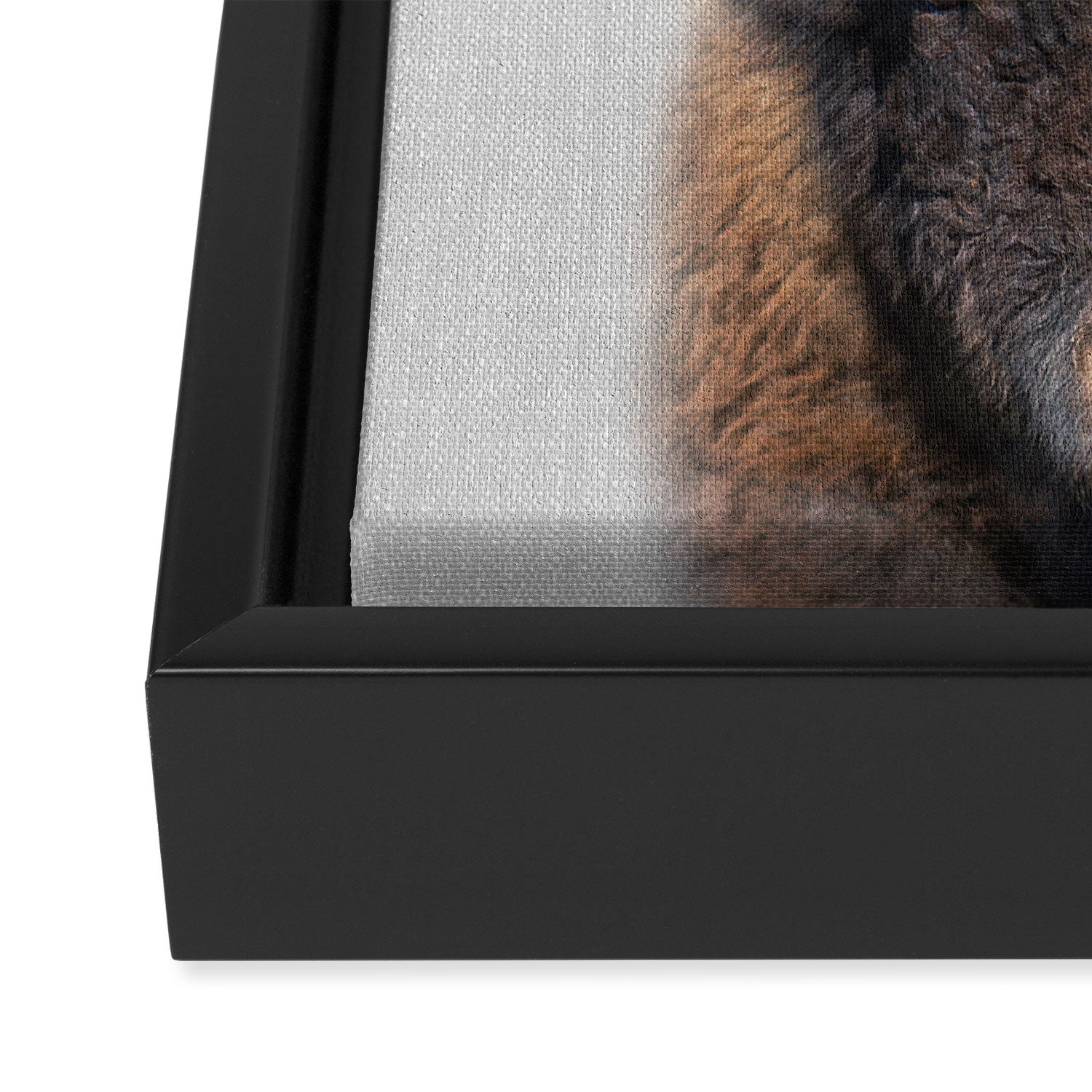 Buffalo - Colorful Framed Canvas Print Gallery Image 3