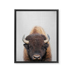 Buffalo - Colorful Framed Canvas Print Gallery Image 8