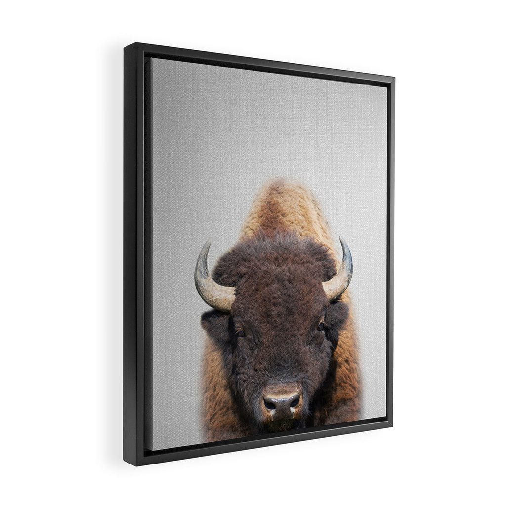 Buffalo - Colorful Framed Canvas Print Gallery Image 2
