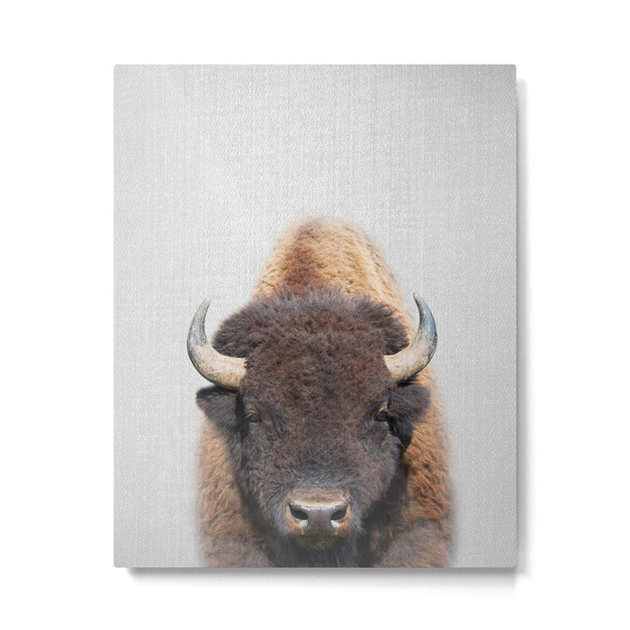 Buffalo - Colorful Metal Print Gallery Image 1