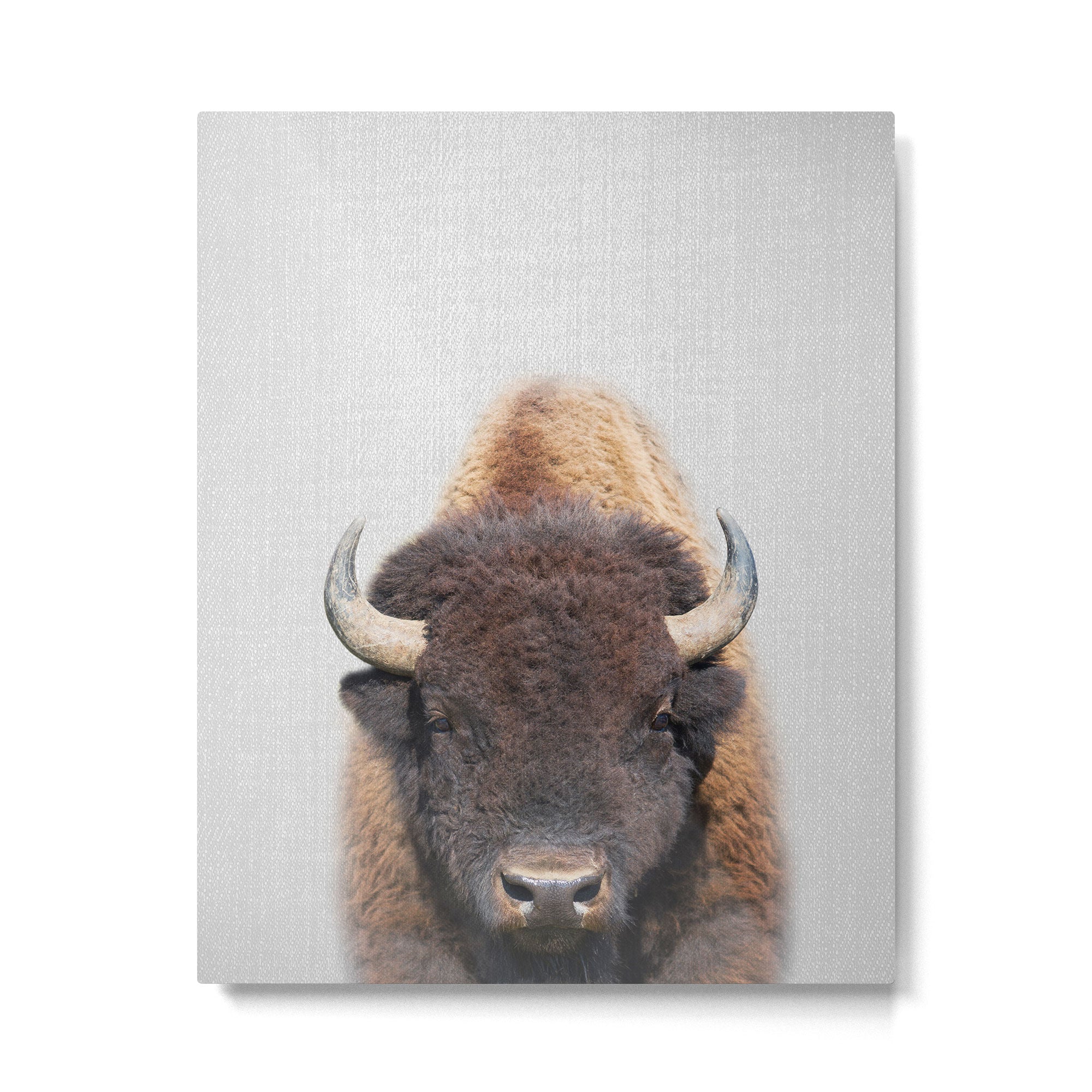 Buffalo - Colorful Metal Print Gallery Image 6
