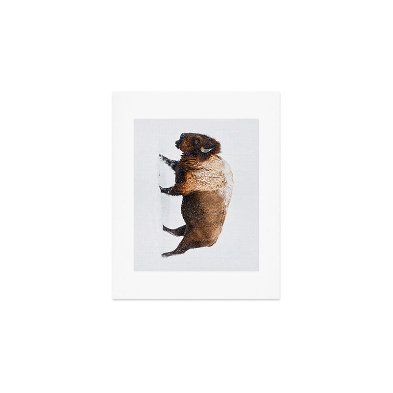 Buffalo In The Snow Art Print Gallery Image 1